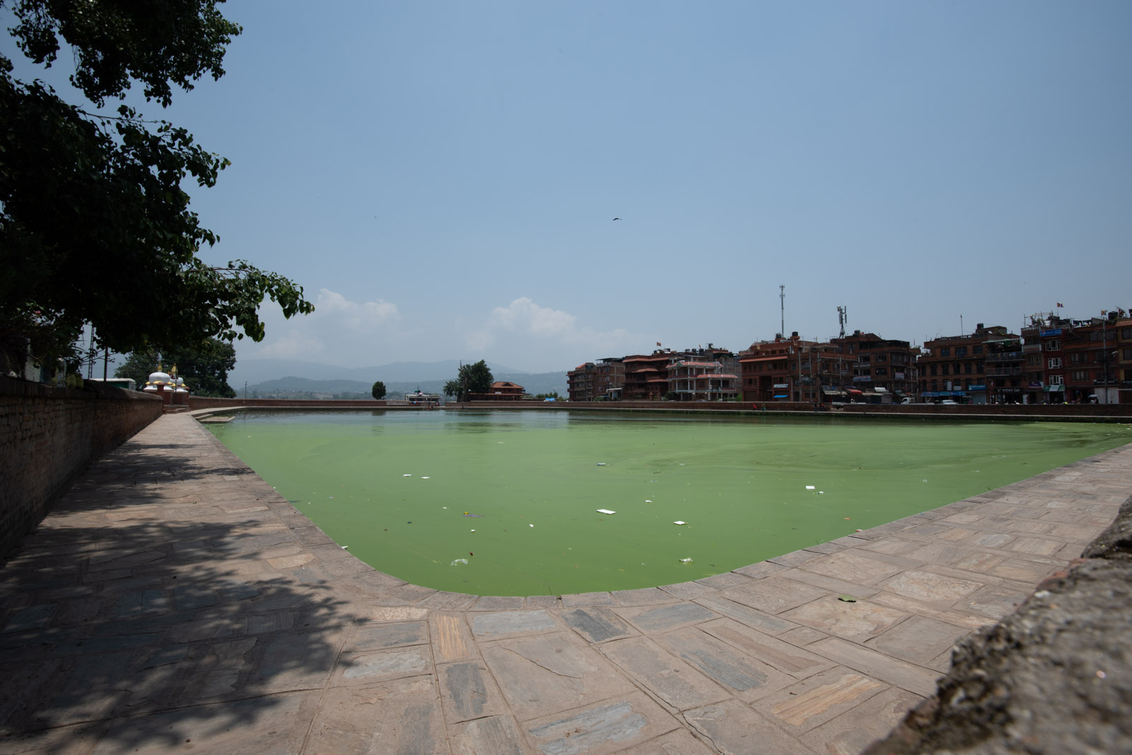 190615 082616 DSC 6063