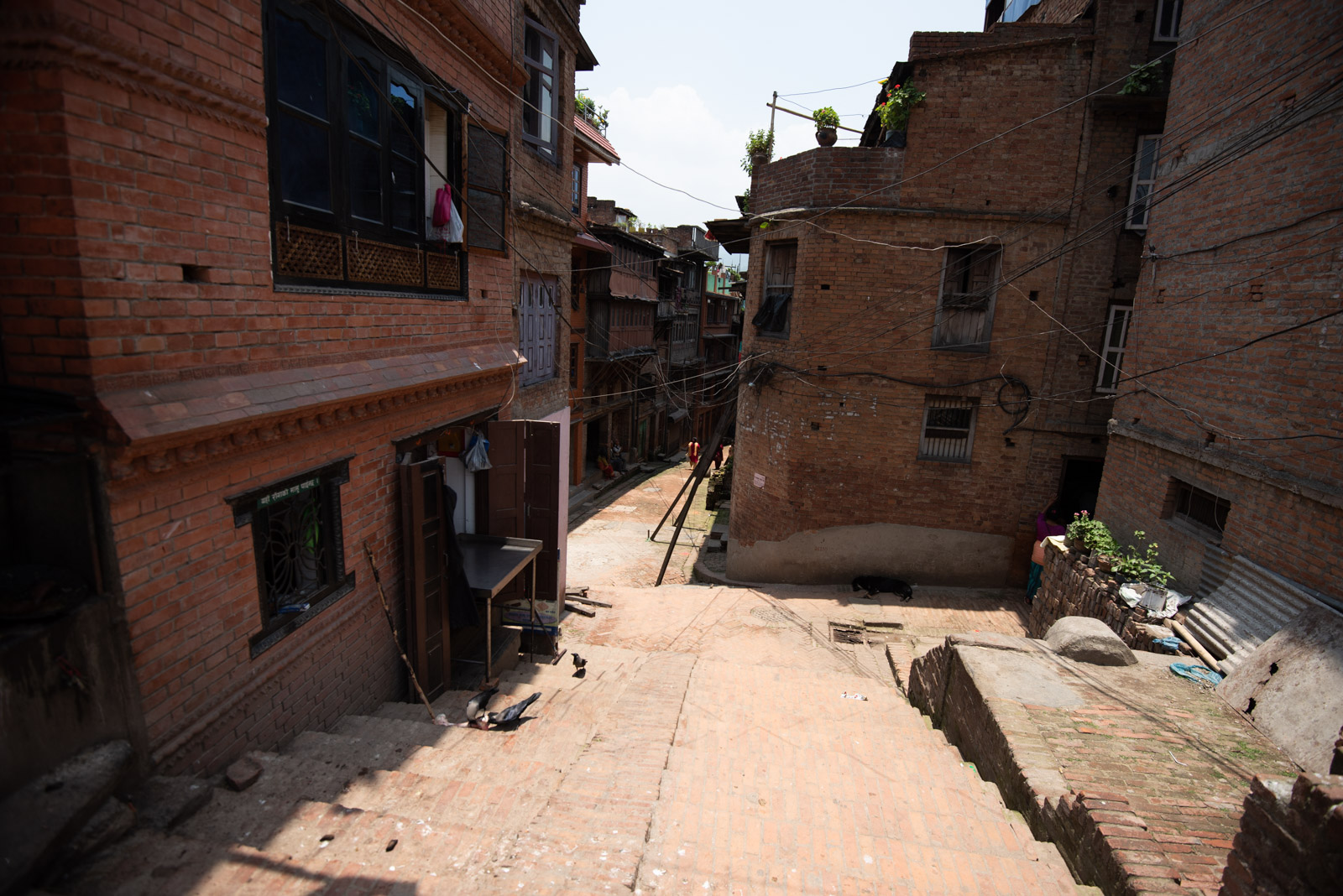 190615 083009 DSC 6064