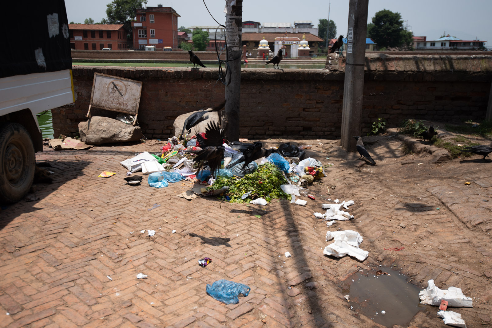 190615 083220 DSC 6070