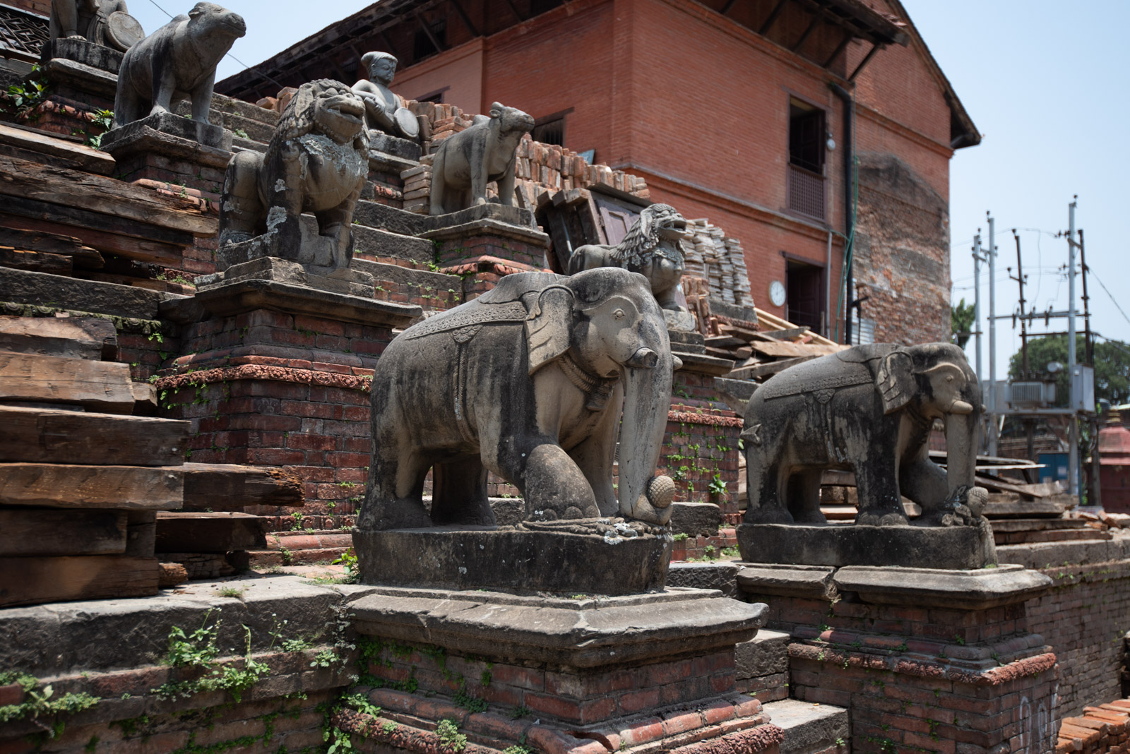 190615 083845 DSC 6077