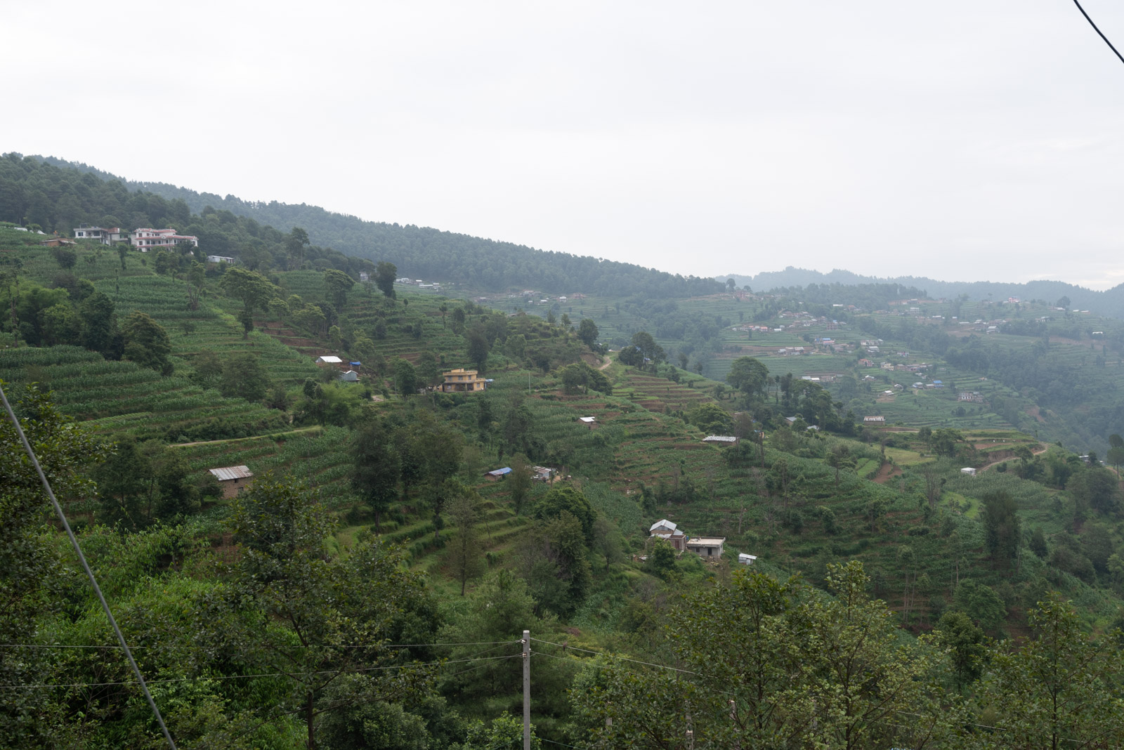 190620 024743 DSC 6465