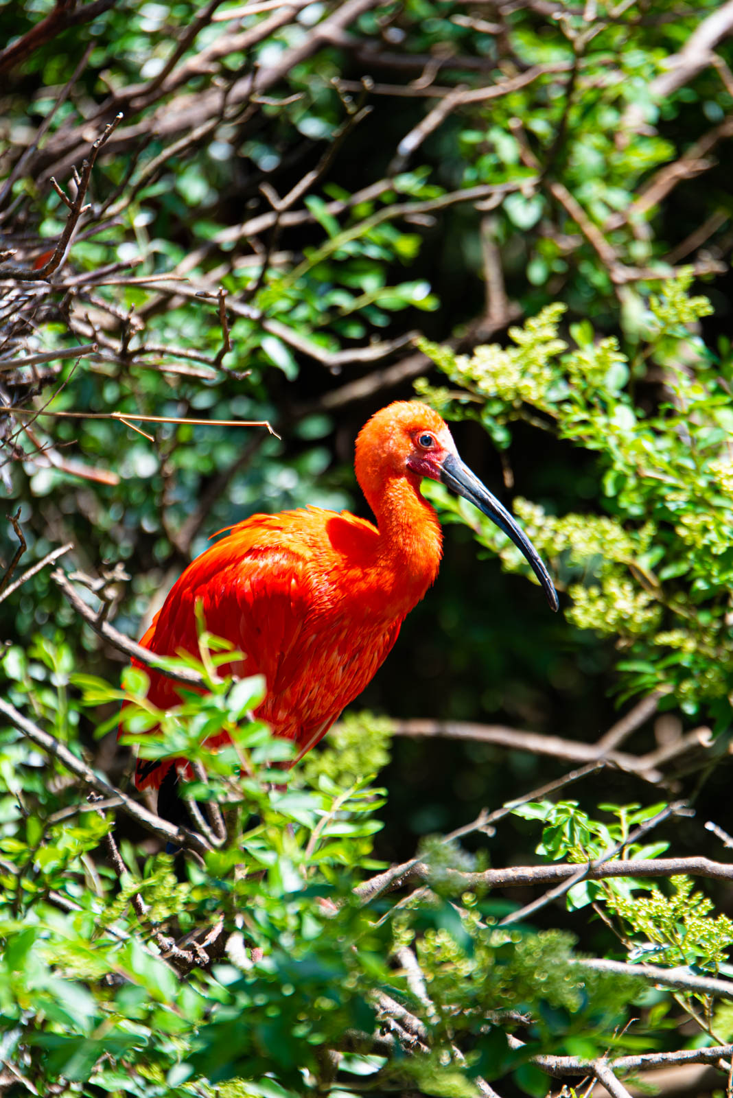 200524 141704 DSC 9023