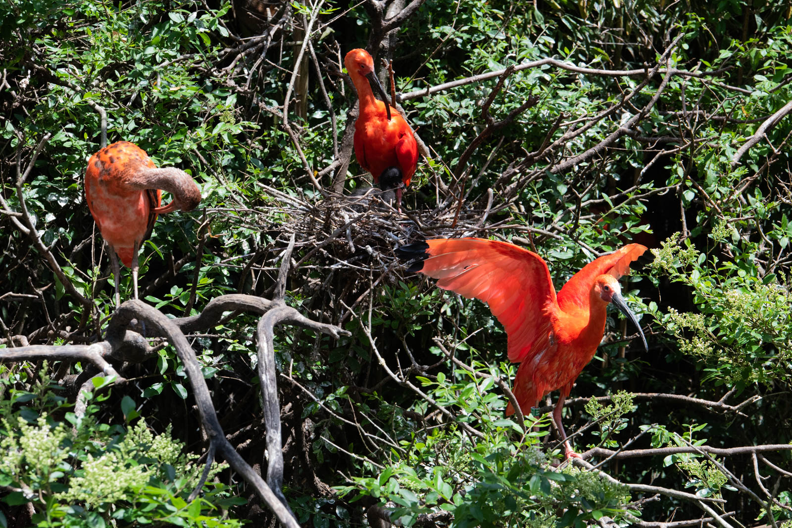 200524 141717 DSC 9025