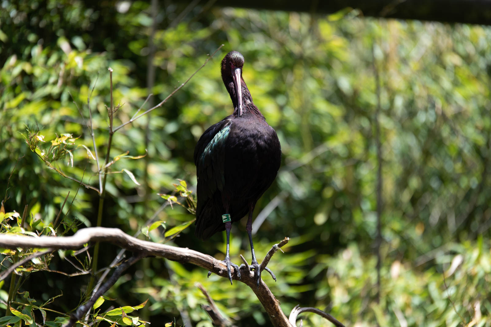 200524 141755 DSC 9028