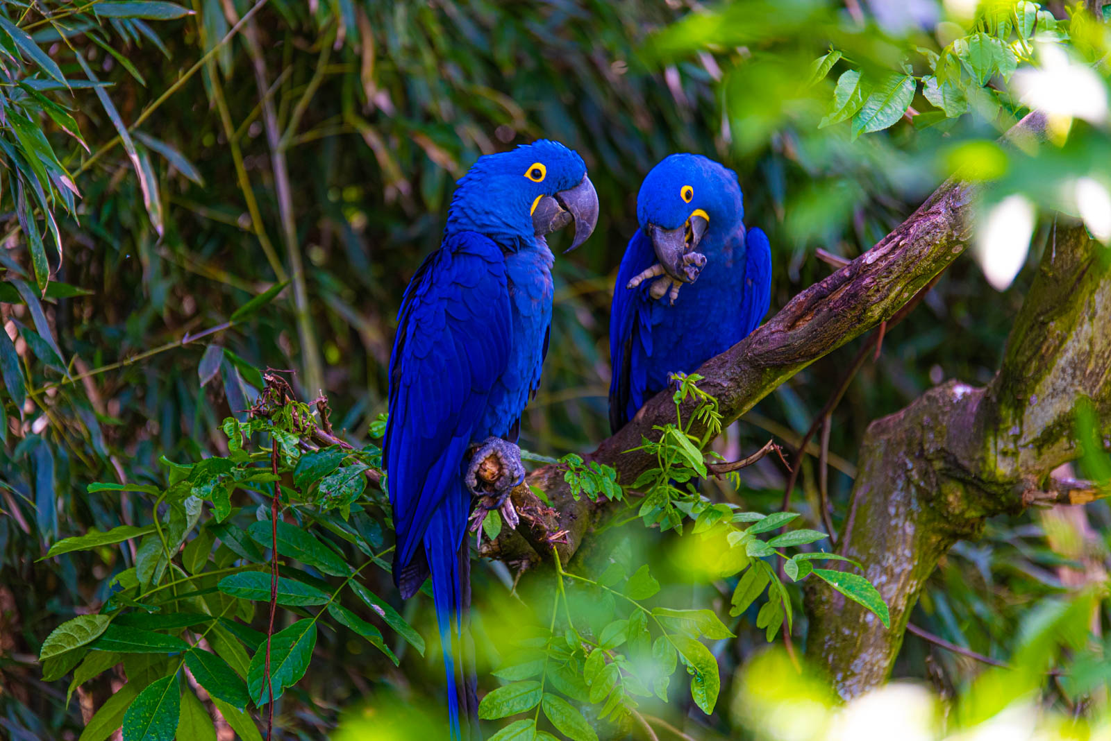 200524 141834 DSC 9031