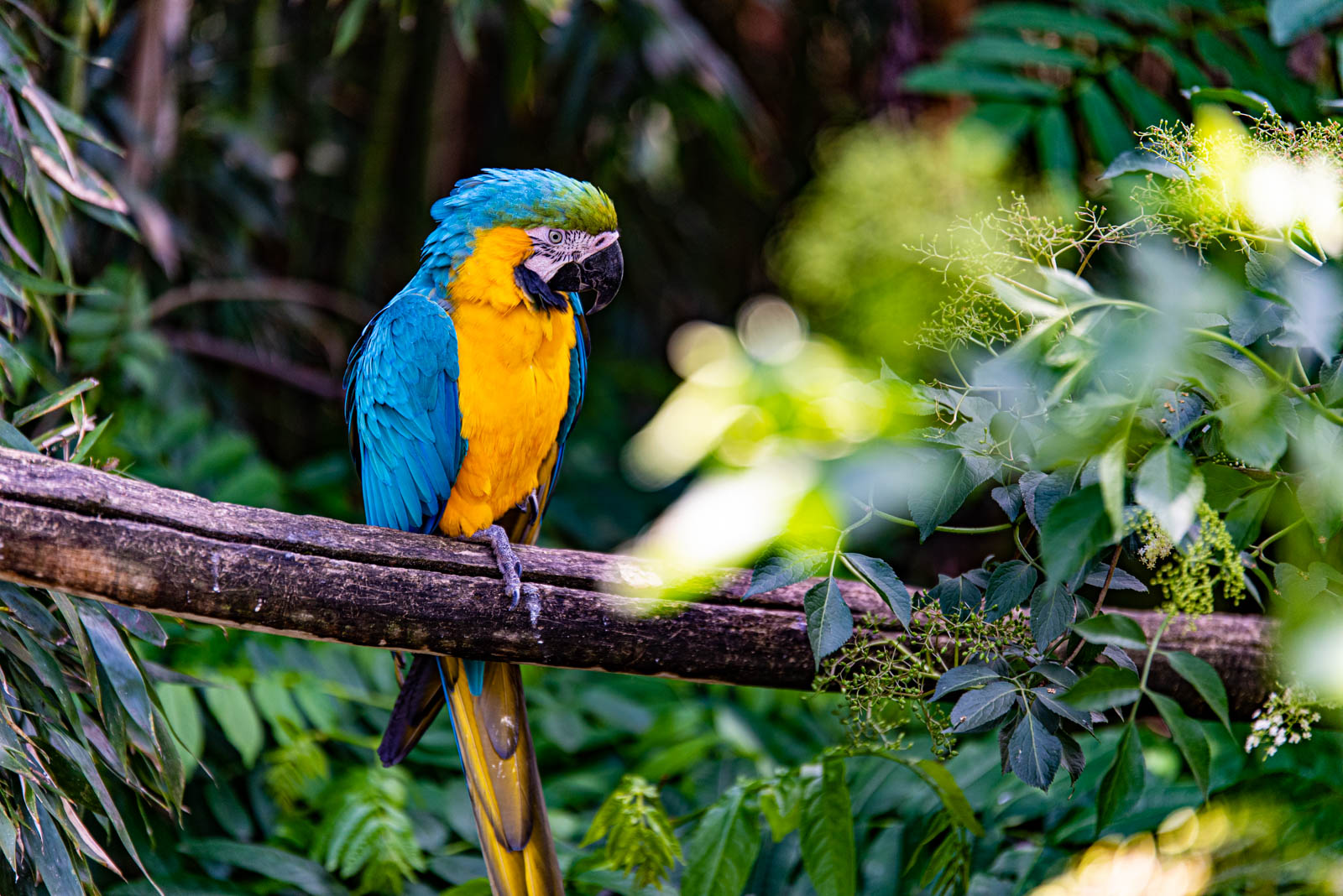 200524 141842 DSC 9033