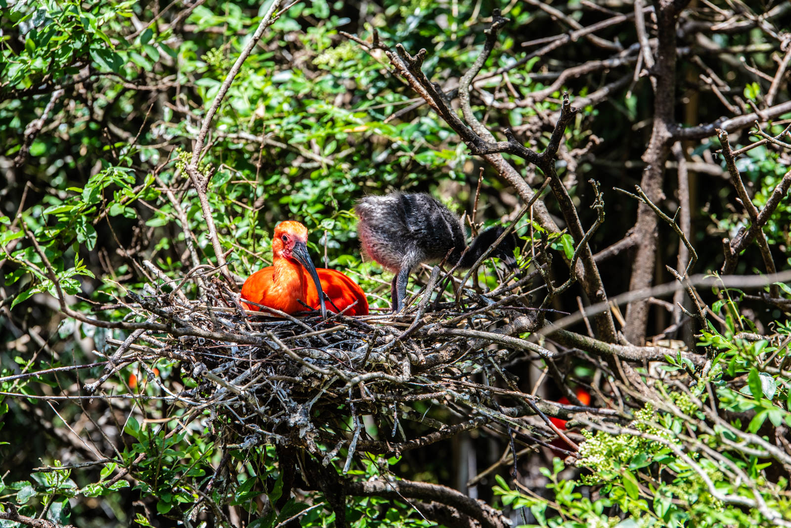 200524 141944 DSC 9039