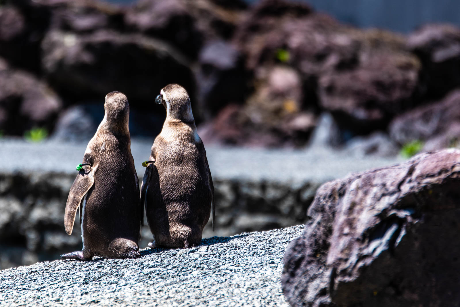 200524 143836 DSC 9068