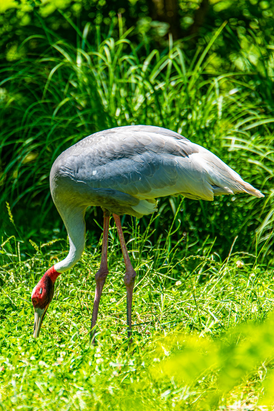 200524 150422 DSC 9114