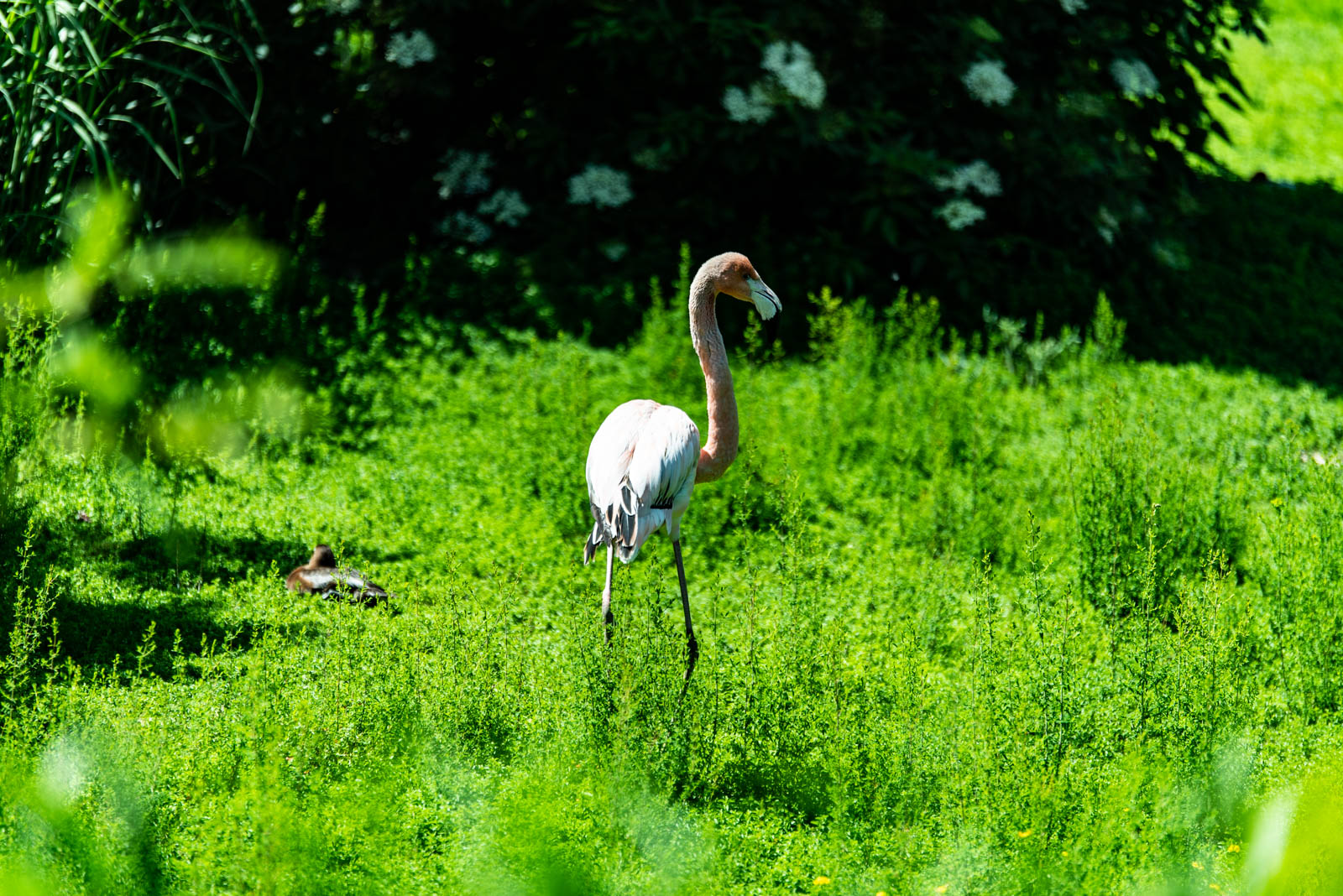 200524 150600 DSC 9121