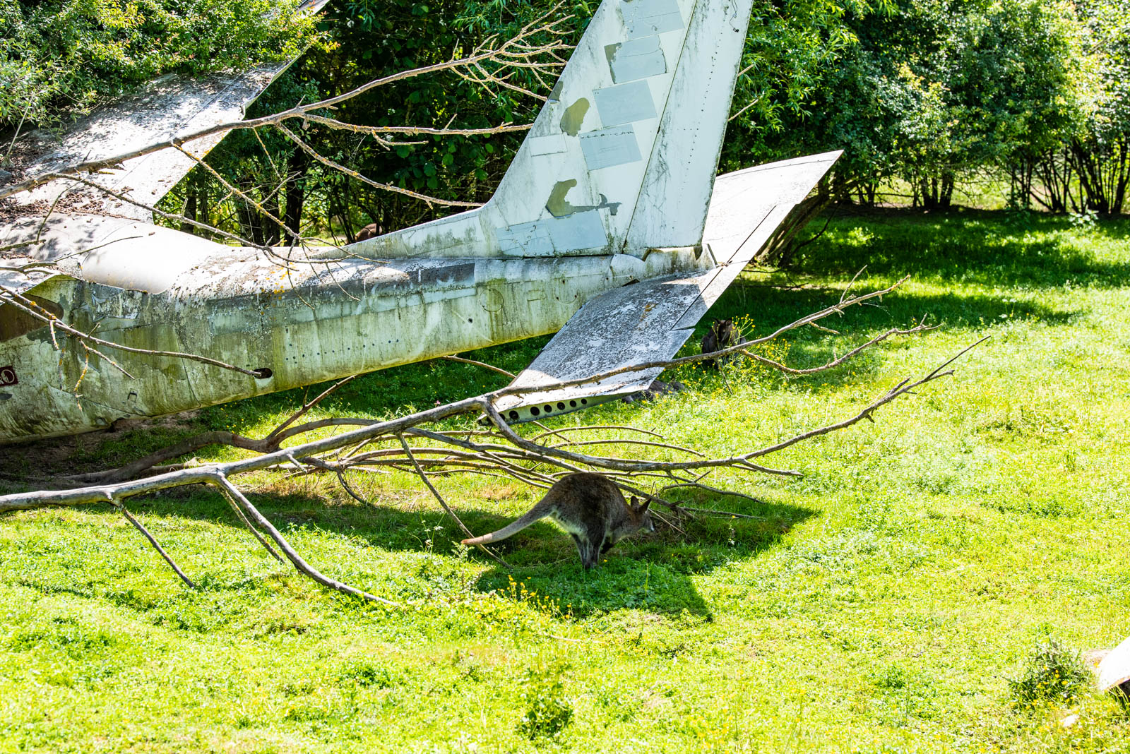 200524 151438 DSC 9138