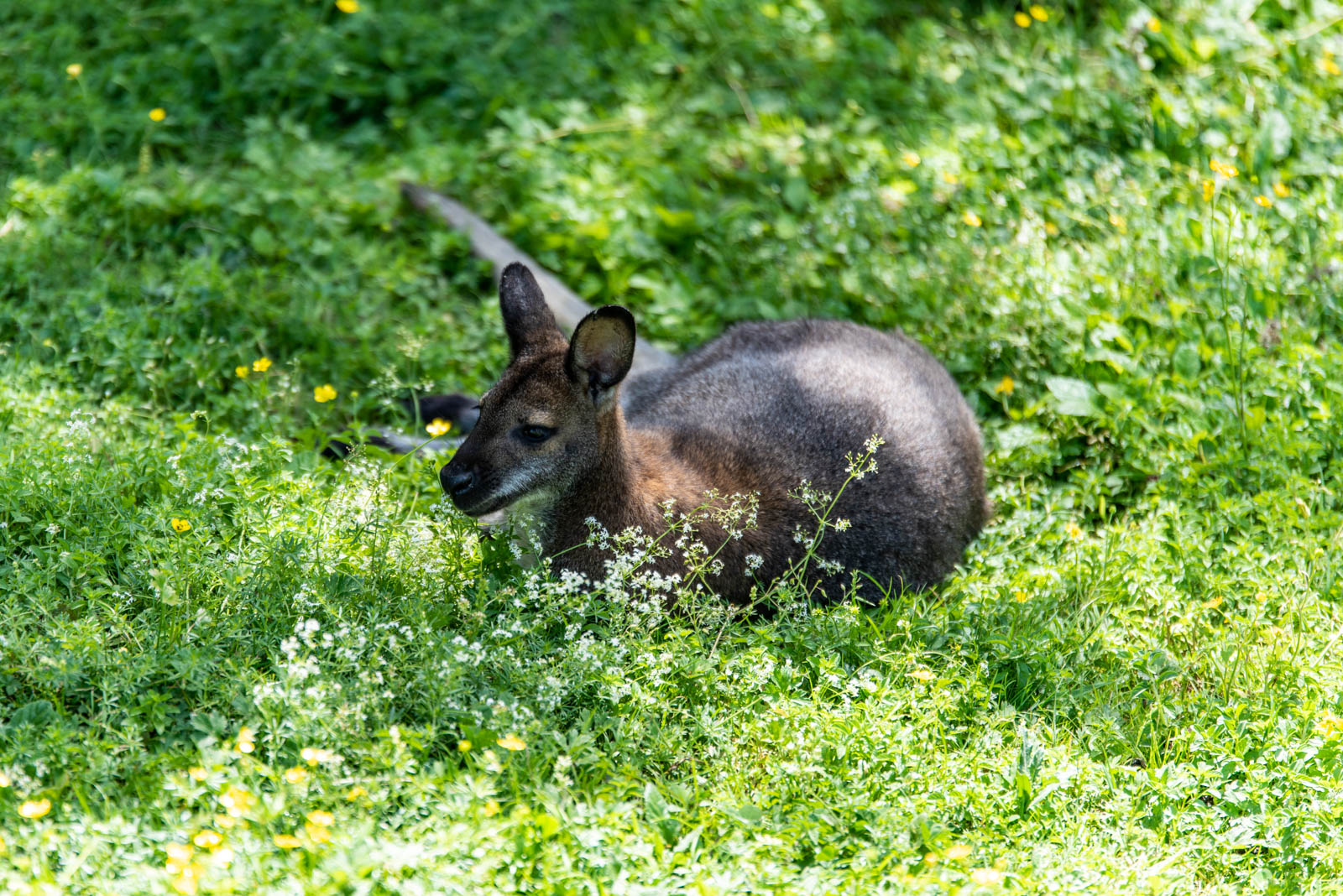 200524 151518 DSC 9141