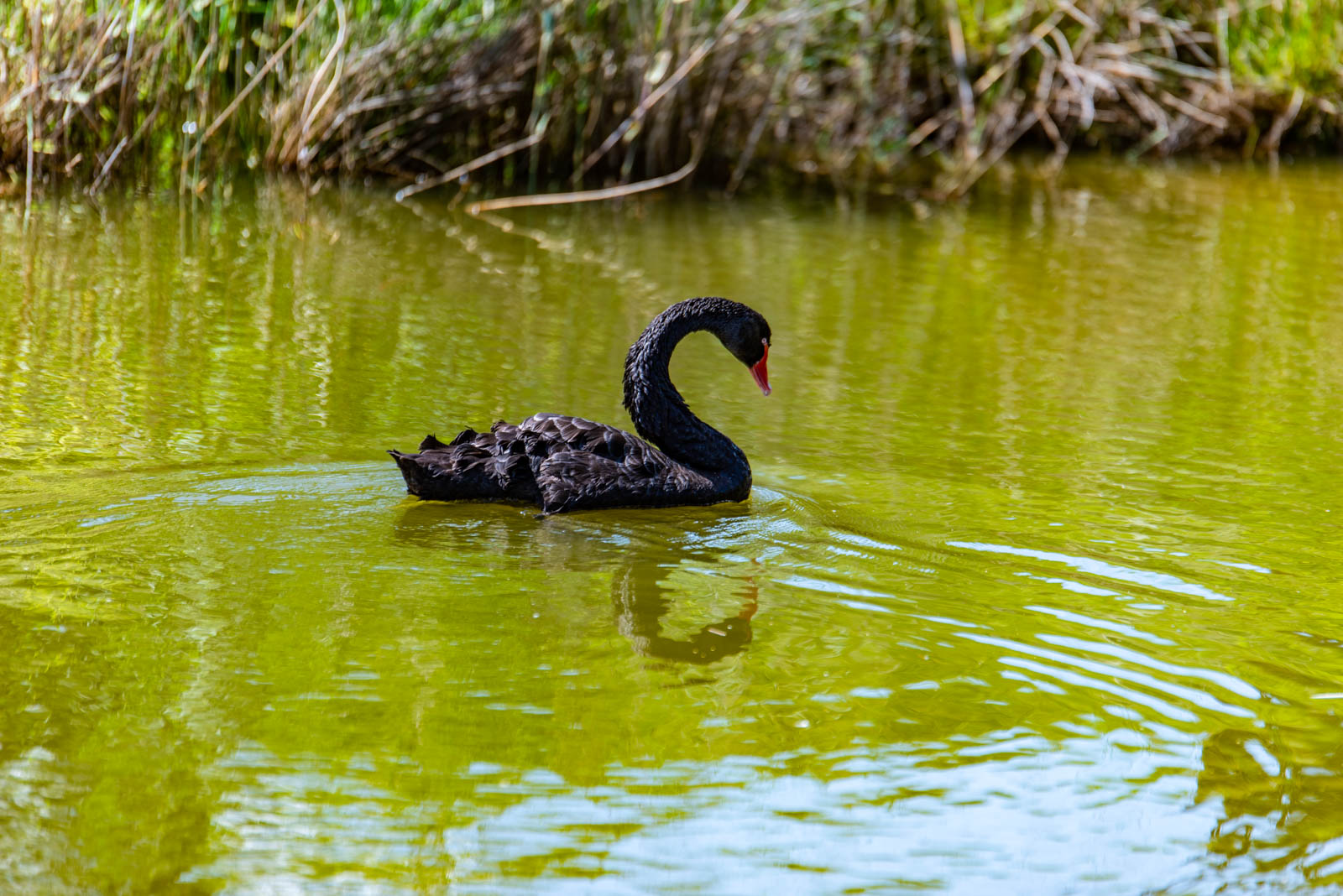 200524 151725 DSC 9144