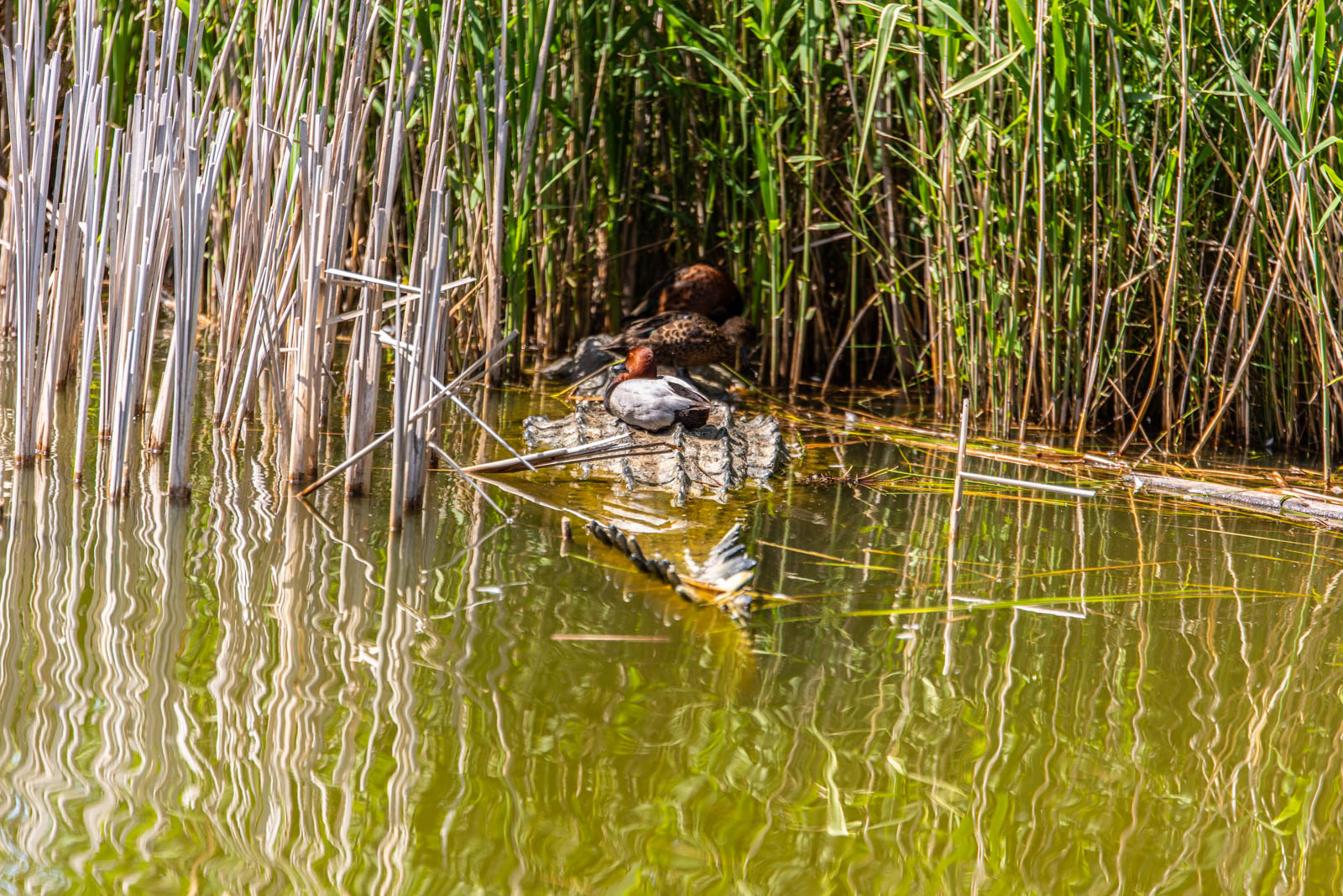 200524 151751 DSC 9145