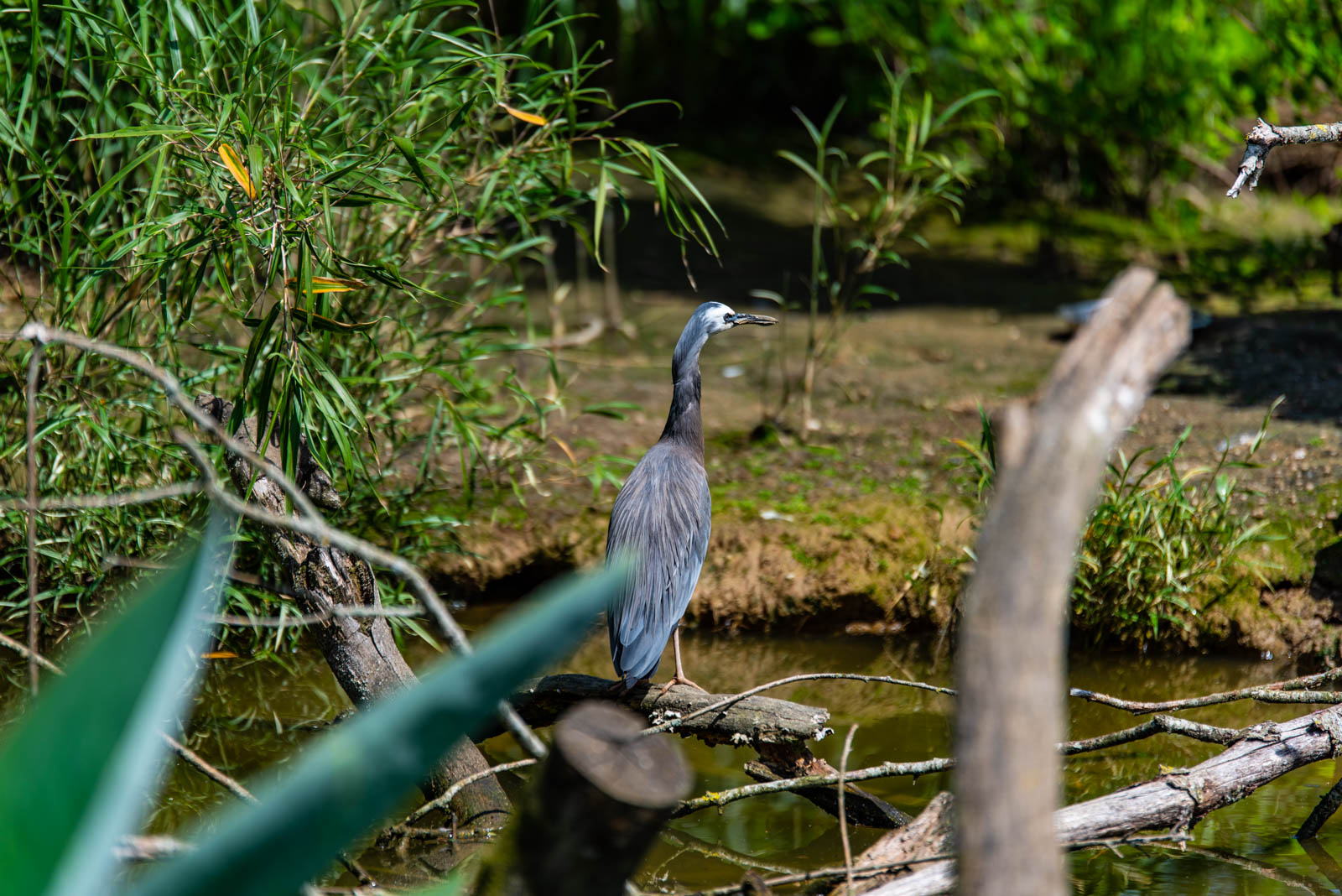 200524 151933 DSC 9146