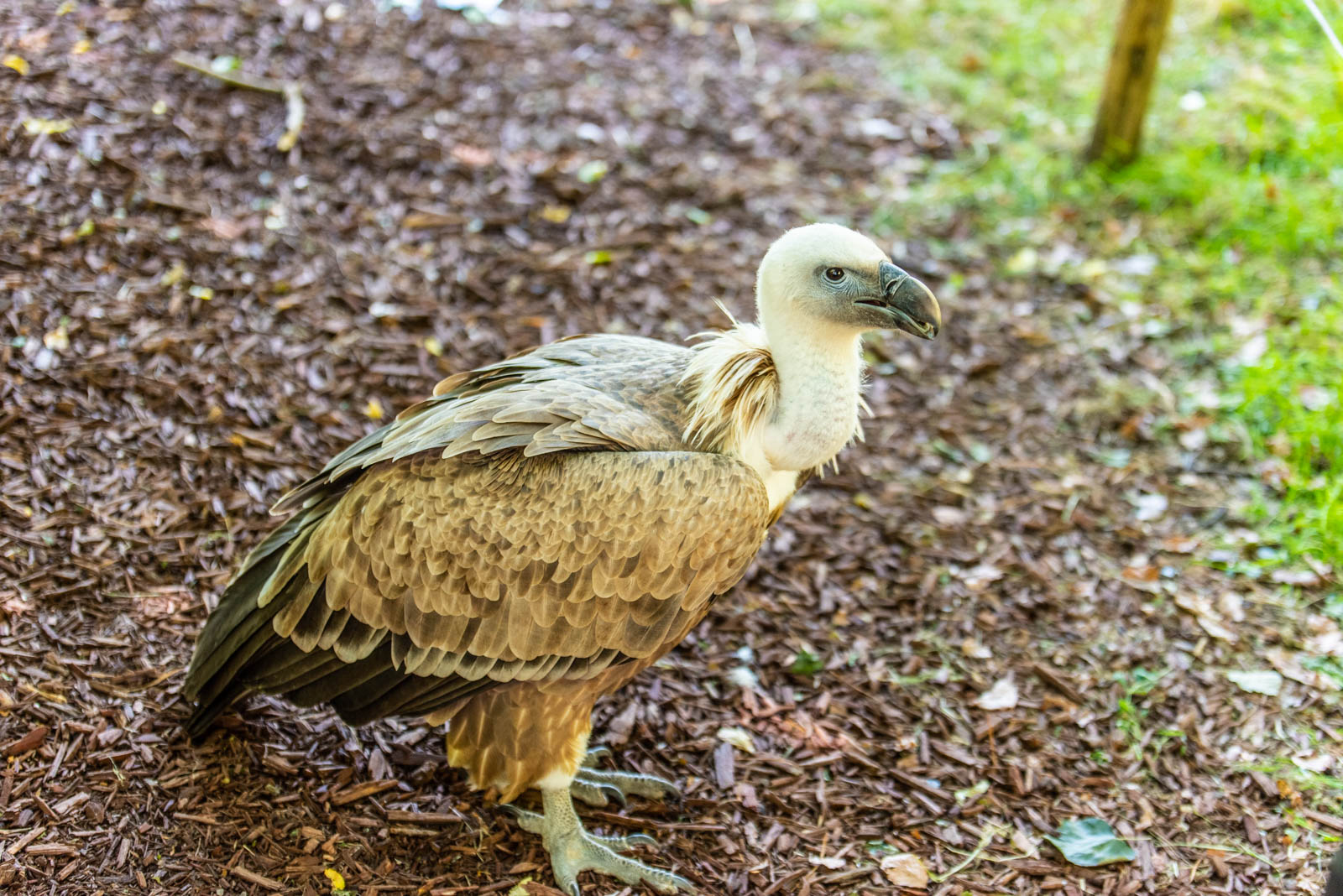 200524 155323 DSC 9187