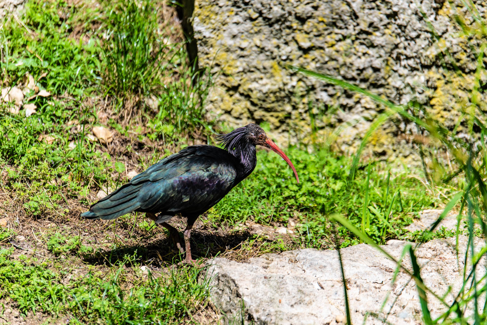 200524 155459 DSC 9199