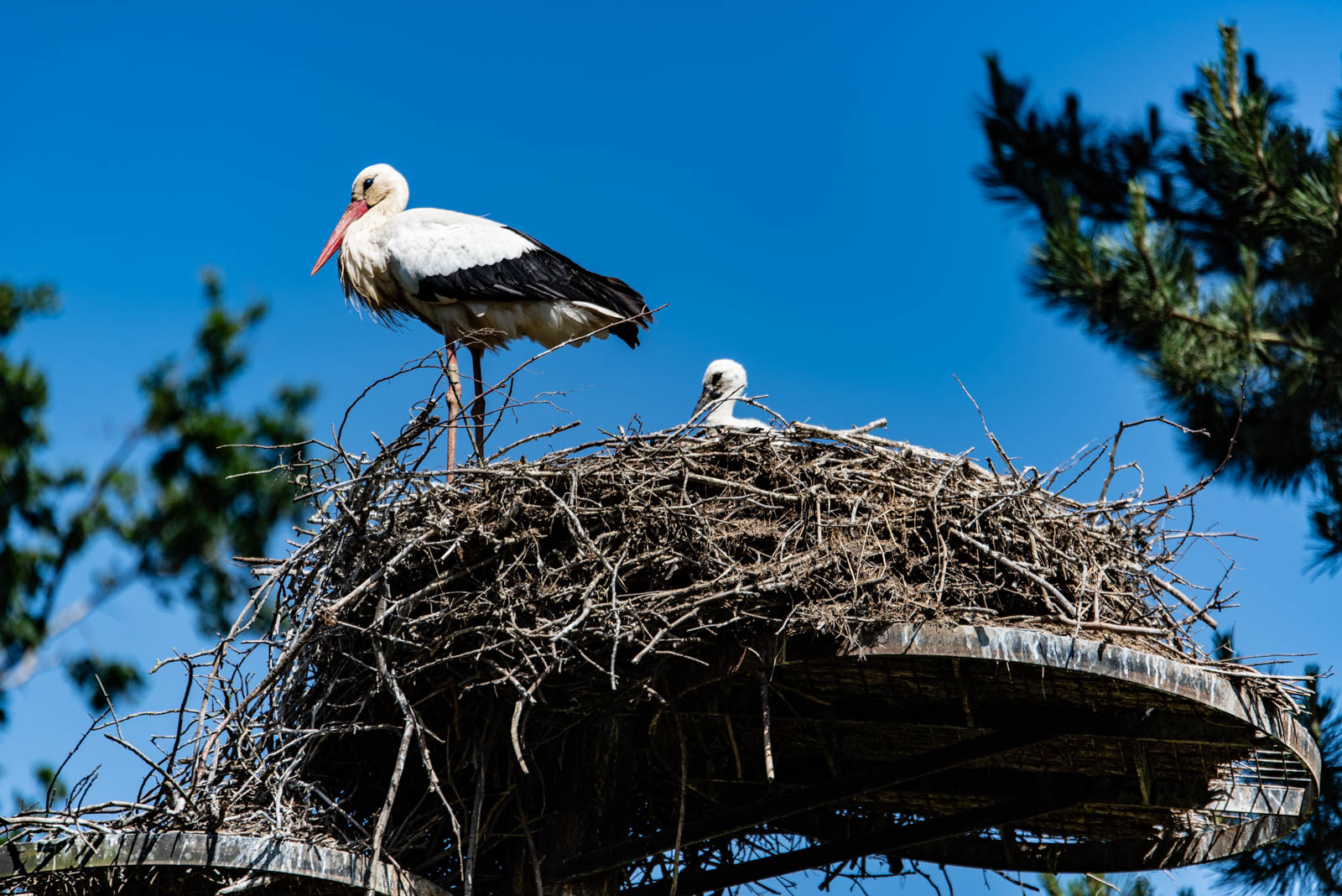 200524 160250 DSC 9208