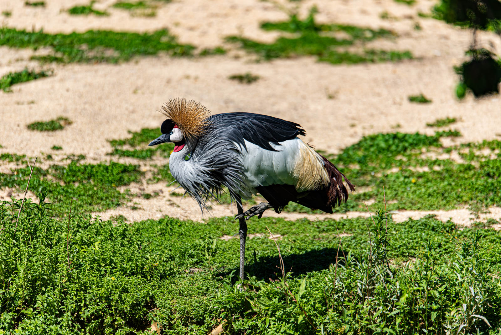 200524 161248 DSC 9217