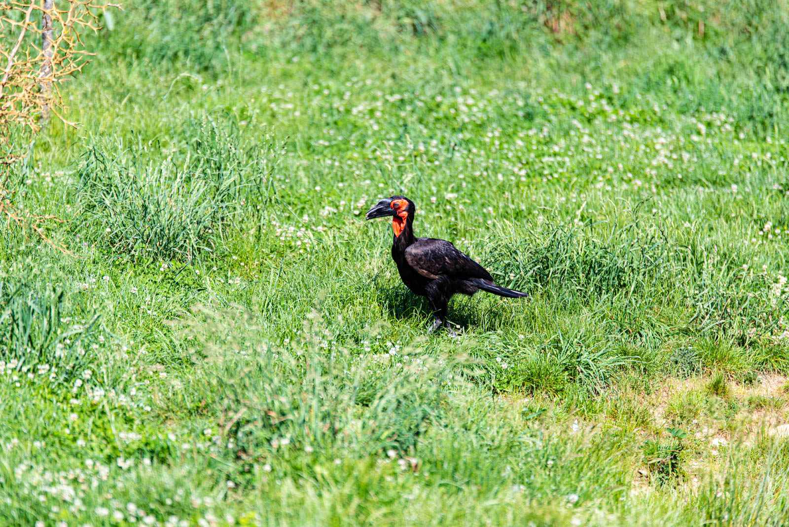 200524 161813 DSC 9225