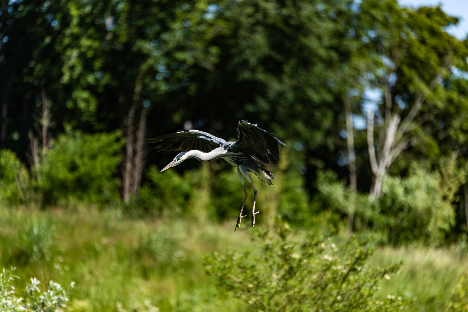 200524 161822 DSC 9226