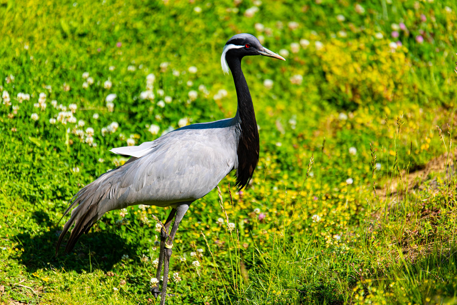 200524 161901 DSC 9231