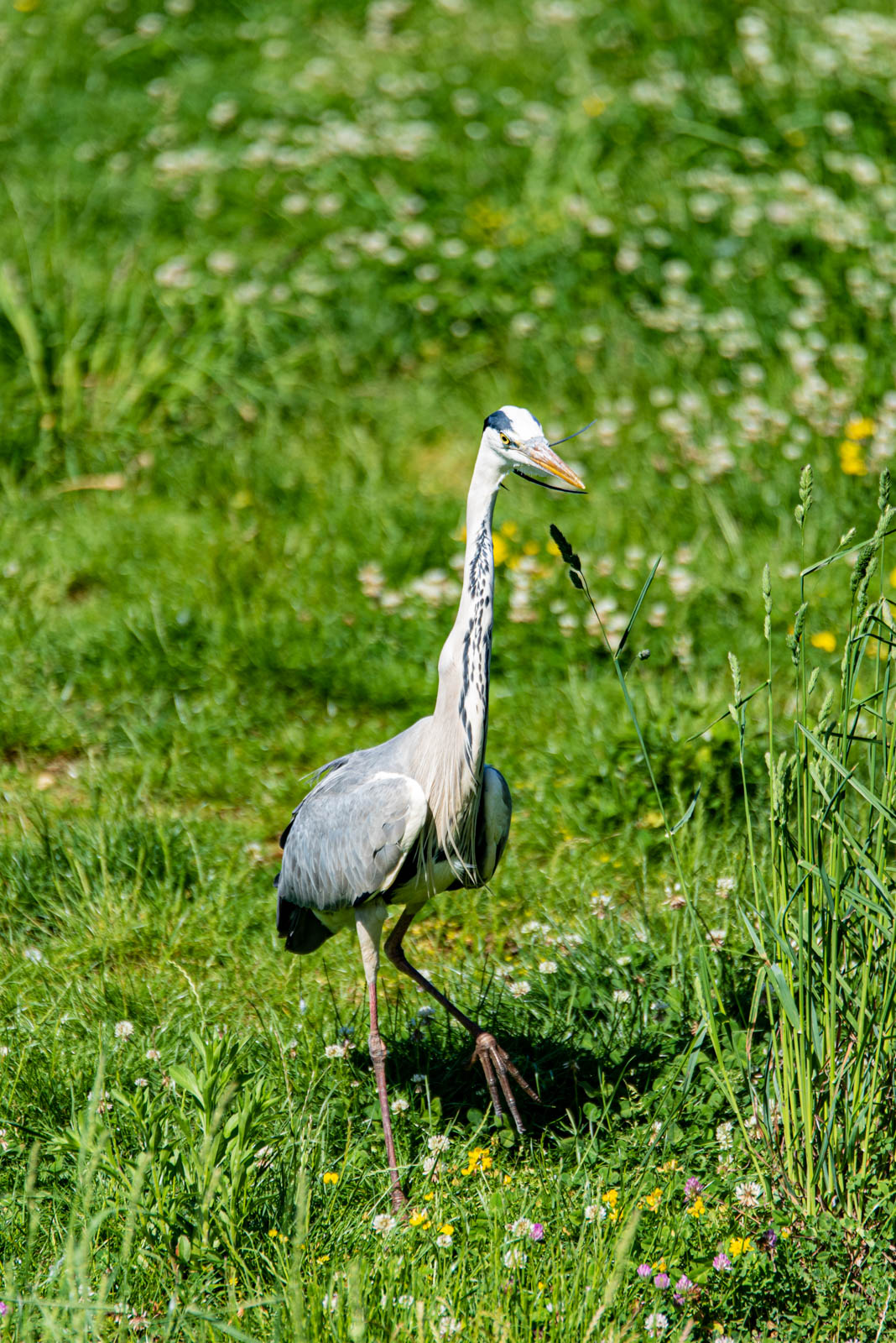 200524 162119 DSC 9269