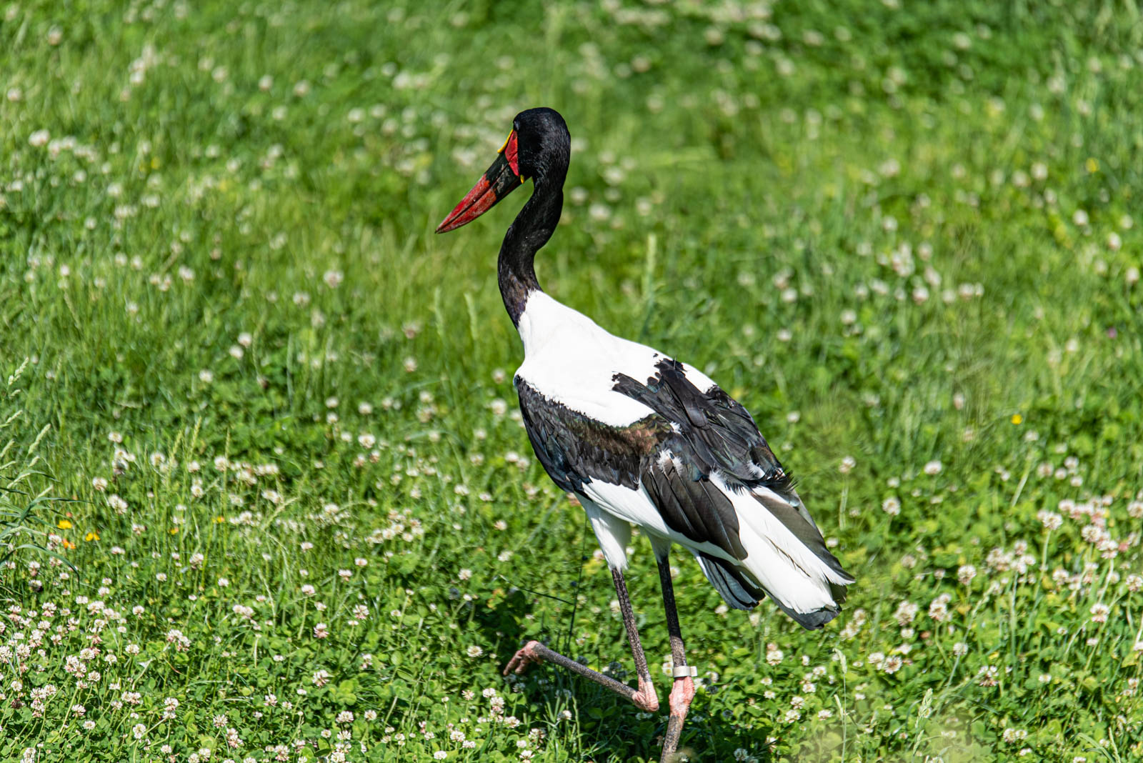 200524 162126 DSC 9272