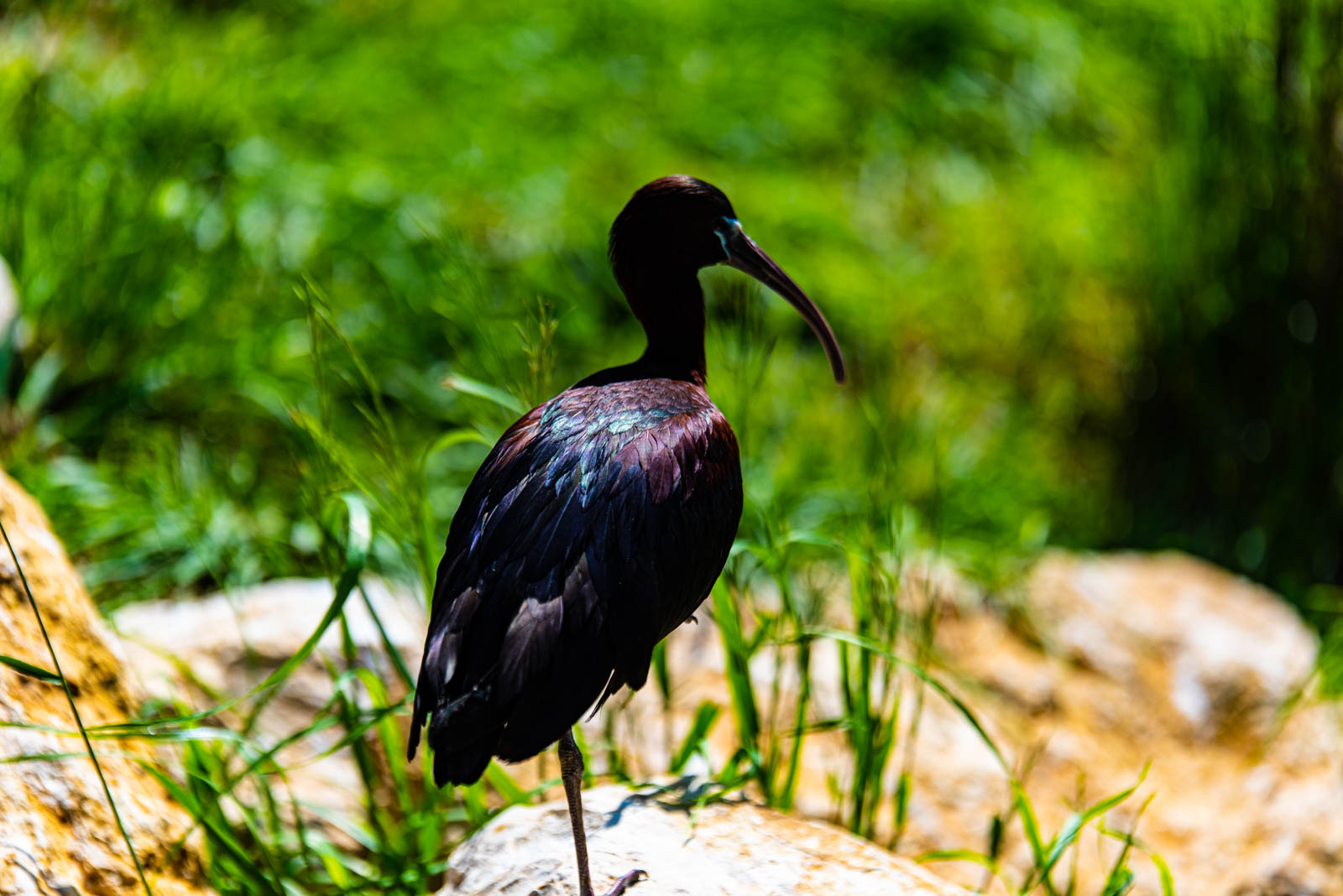 200524 162649 DSC 9278