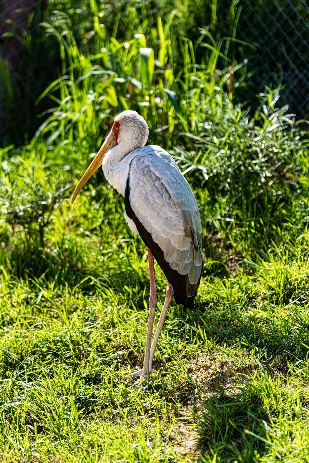 200524 162857 DSC 9284