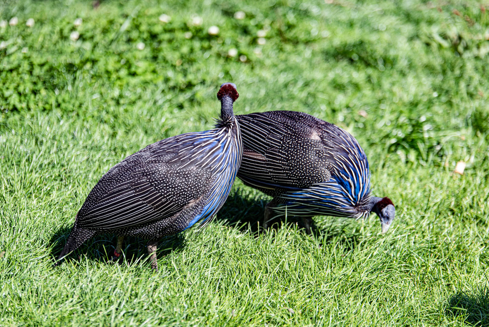 200524 162935 DSC 9288