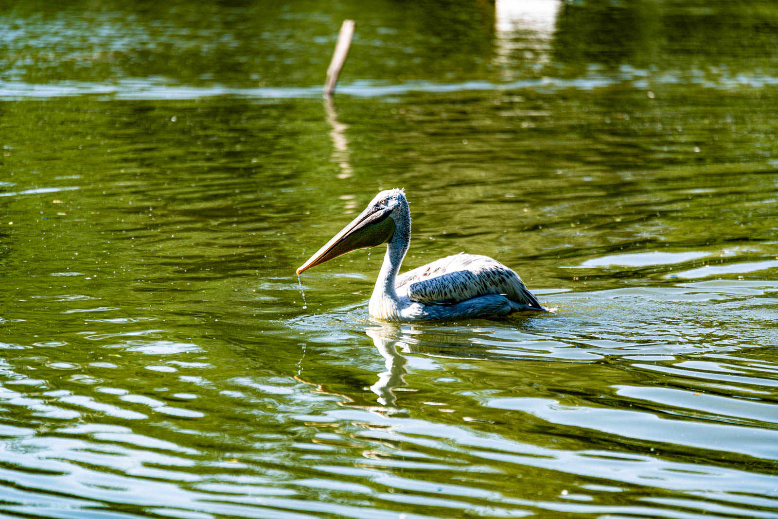 200524 164337 DSC 9307