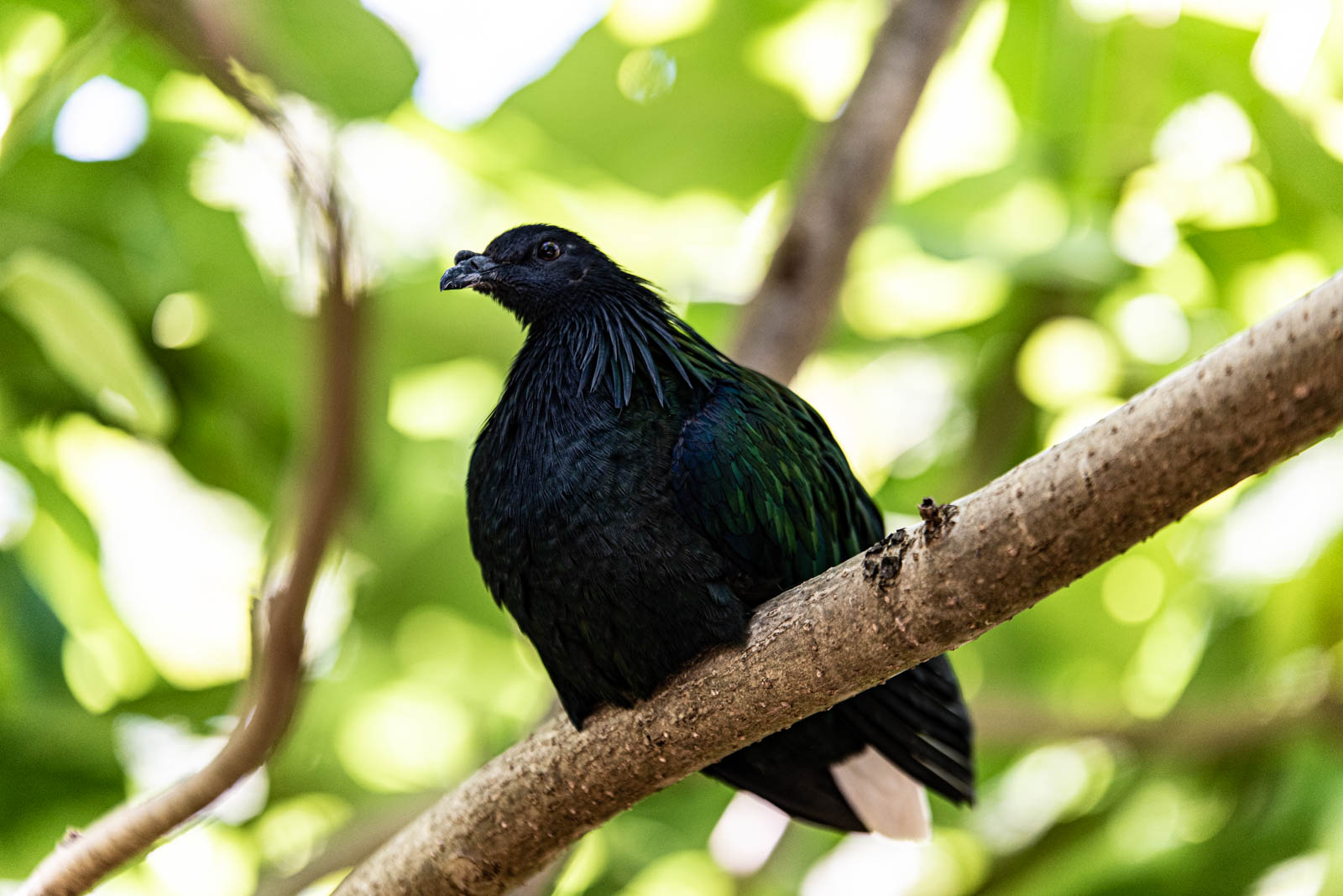 200524 164748 DSC 9314