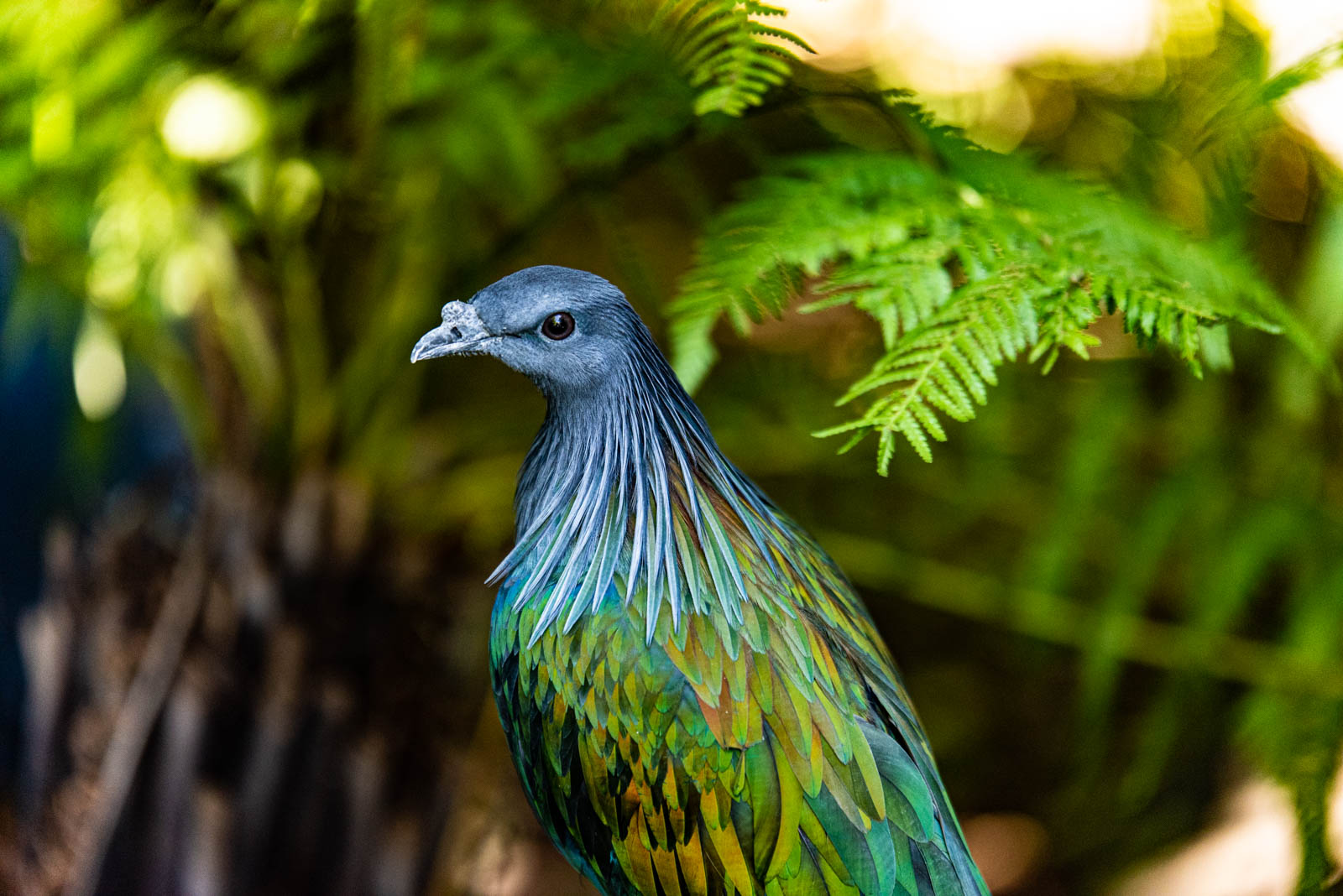 200524 164905 DSC 9324