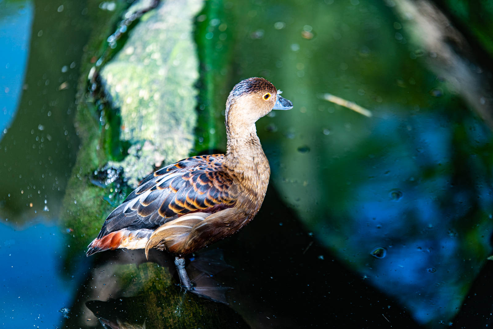 200524 165028 DSC 9327