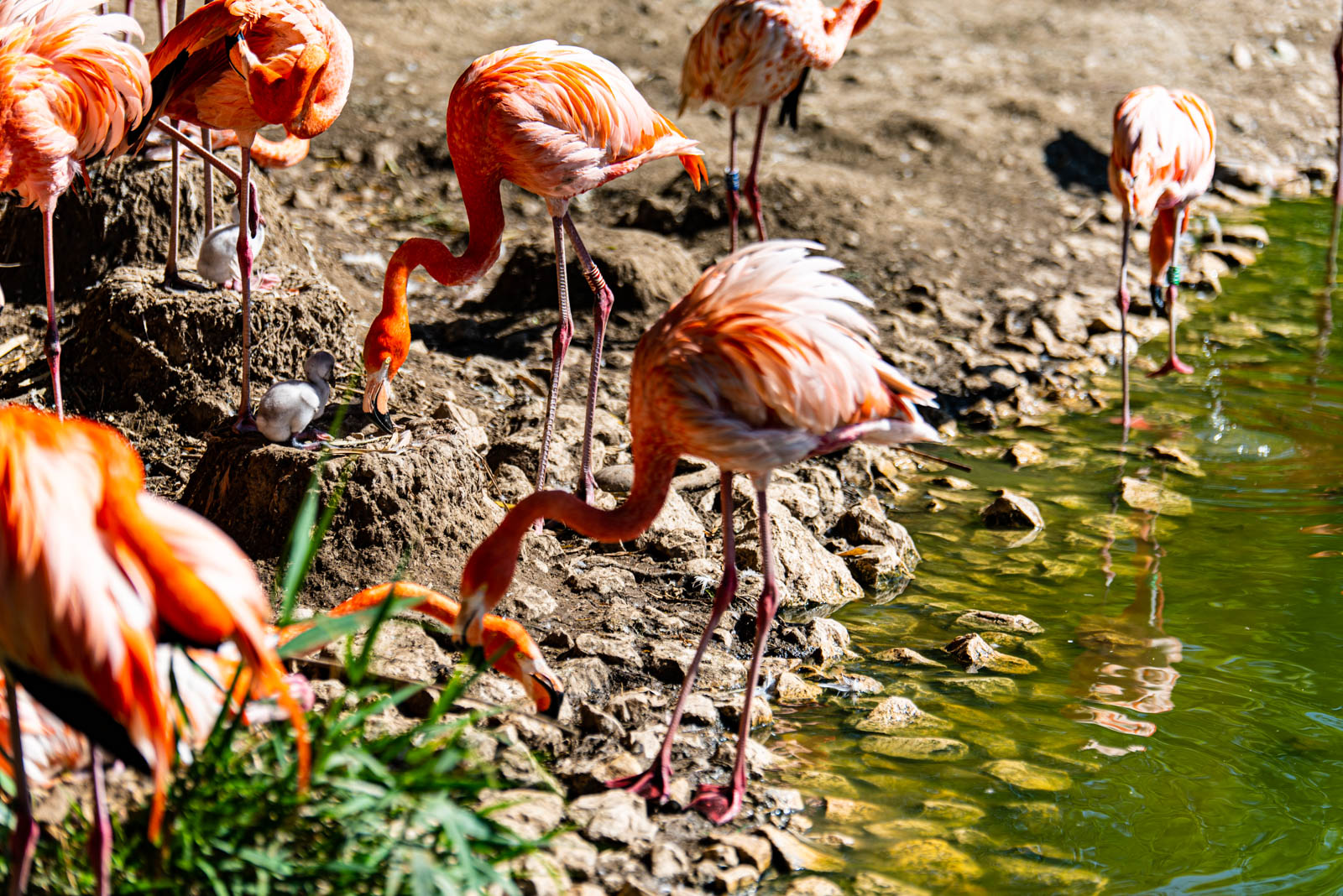 200524 165830 DSC 9346