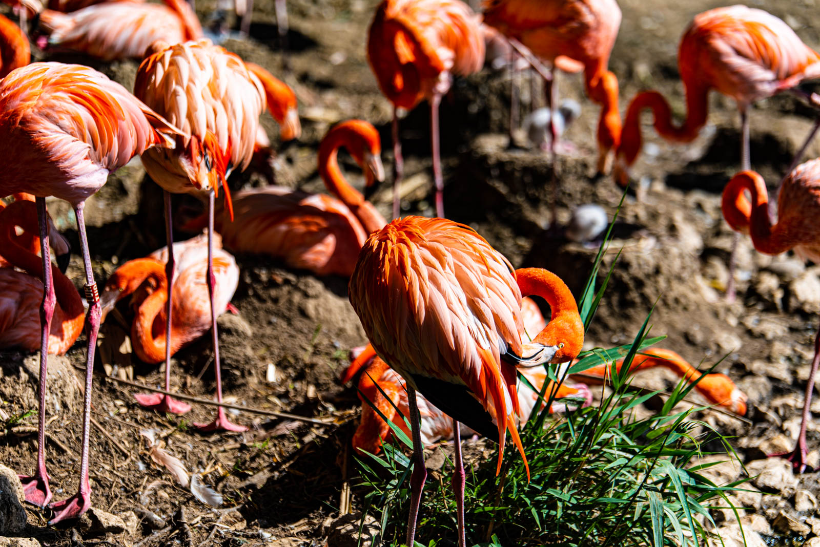 200524 165837 DSC 9348