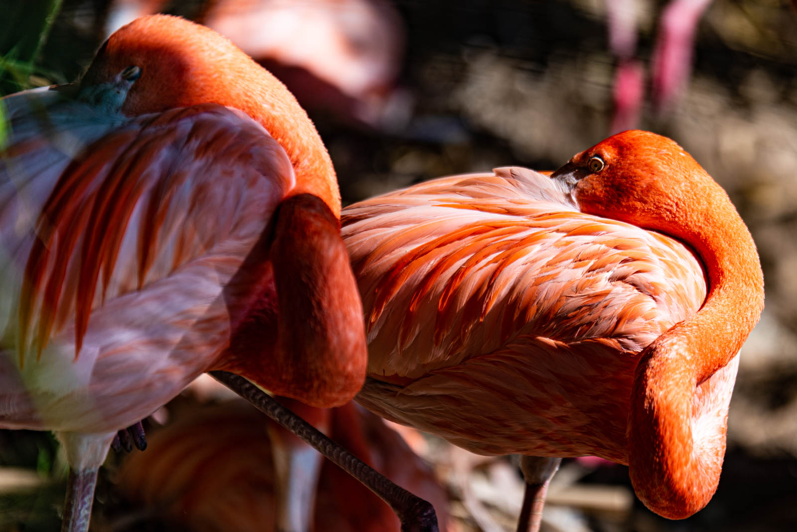 200524 165859 DSC 9353